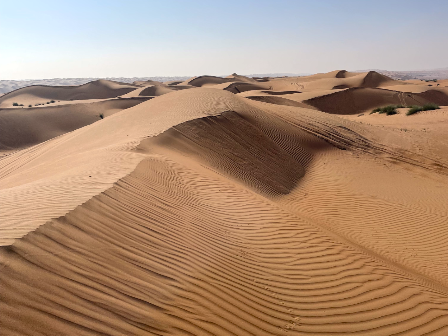 désert Wahiba