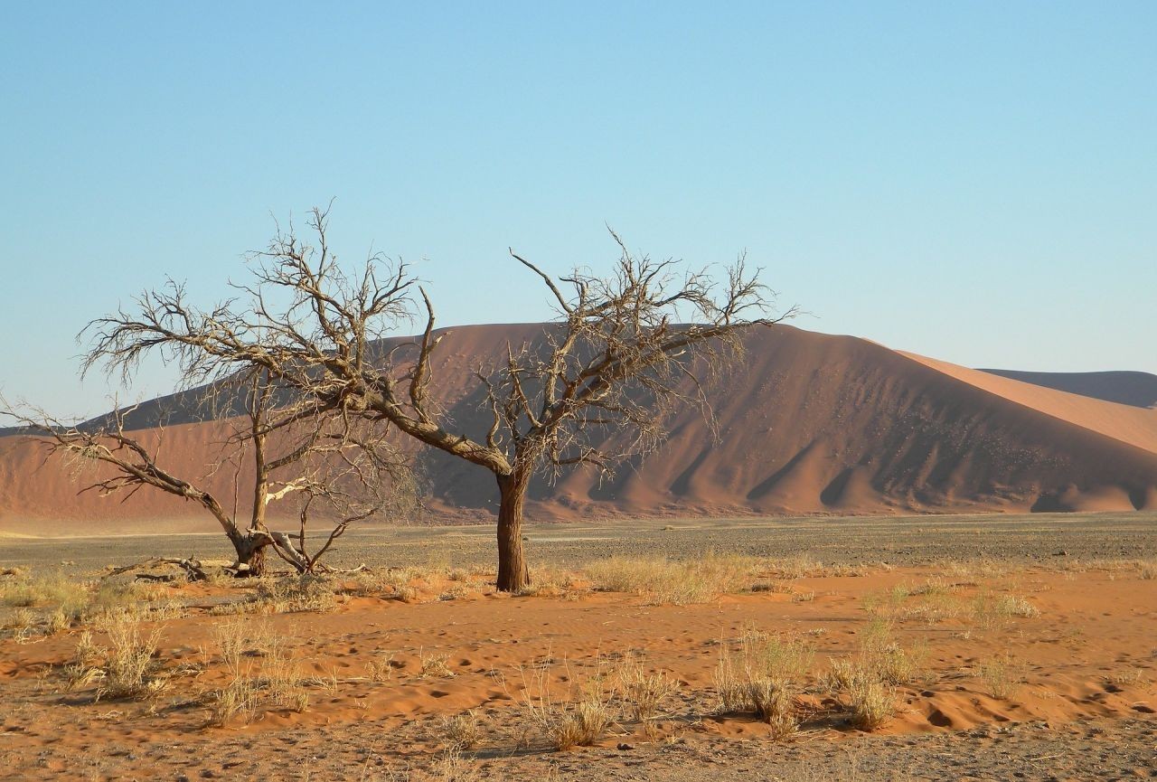 Namibie, la terre ultime Casanomade