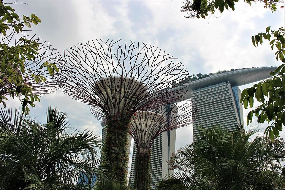 Gardens by the Bay, Singapour